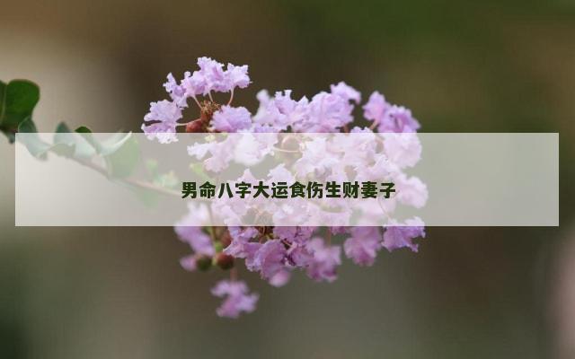 男命八字大运食伤生财妻子