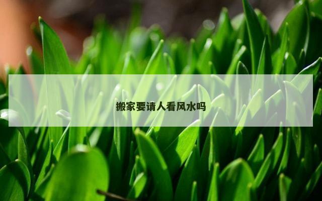 搬家要请人看风水吗