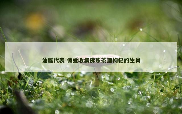 油腻代表 偏爱收集佛珠茶酒枸杞的生肖