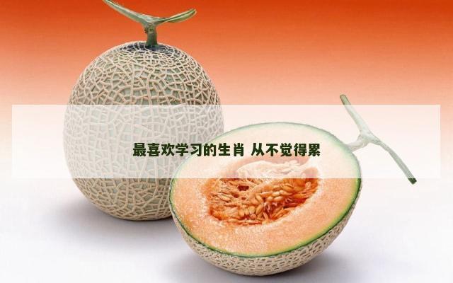 最喜欢学习的生肖 从不觉得累
