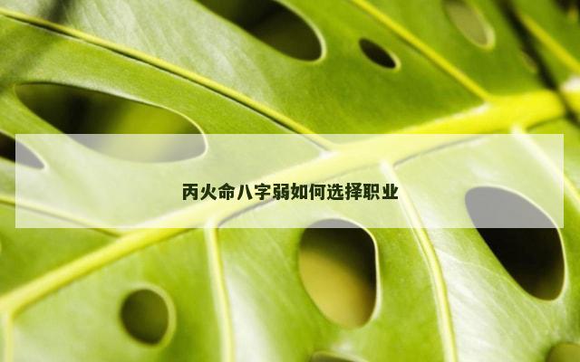 丙火命八字弱如何选择职业