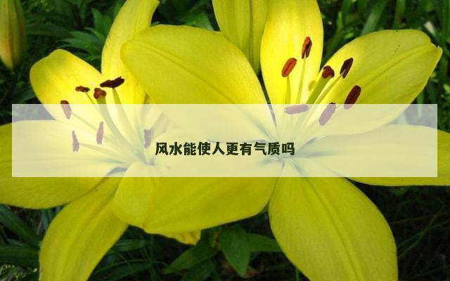 风水能使人更有气质吗