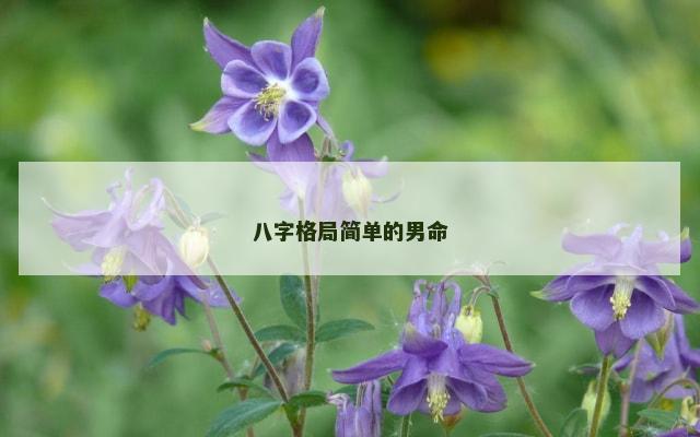 八字格局简单的男命