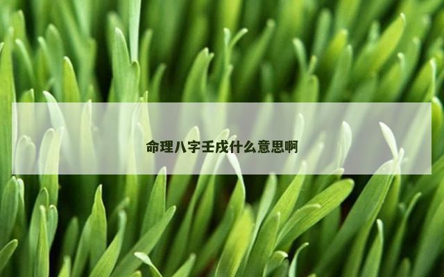 命理八字壬戌什么意思啊