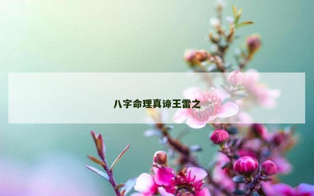八字命理真谛王雷之