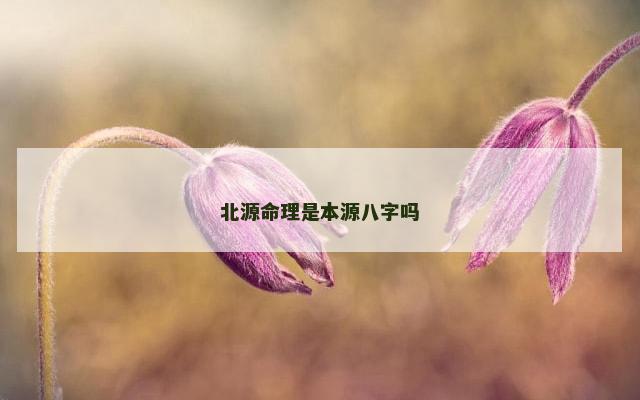 北源命理是本源八字吗