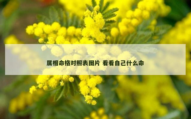 属相命格对照表图片 看看自己什么命