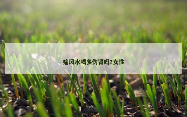 痛风水喝多伤肾吗?女性