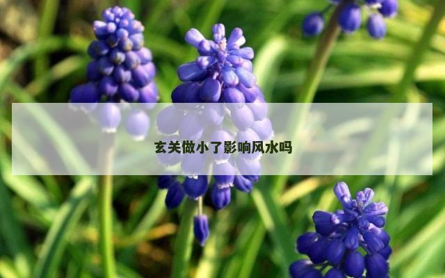 玄关做小了影响风水吗