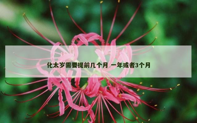 化太岁需要提前几个月 一年或者3个月