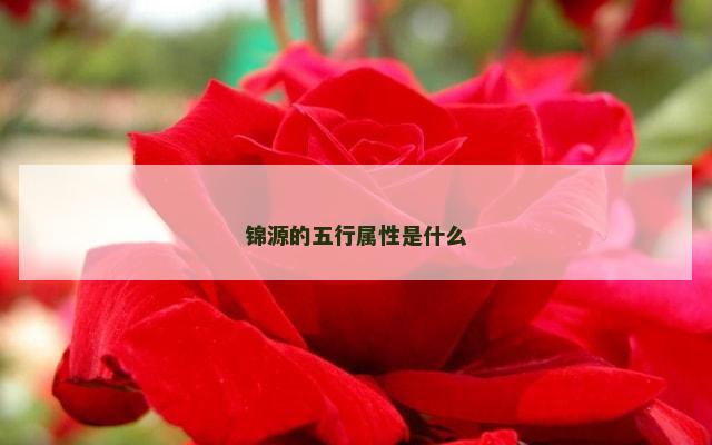 锦源的五行属性是什么