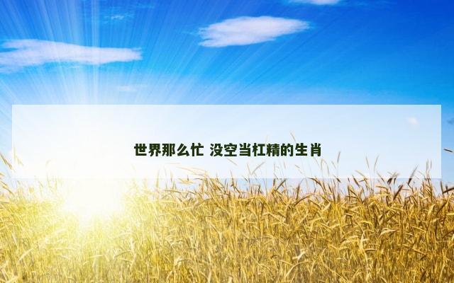 世界那么忙 没空当杠精的生肖