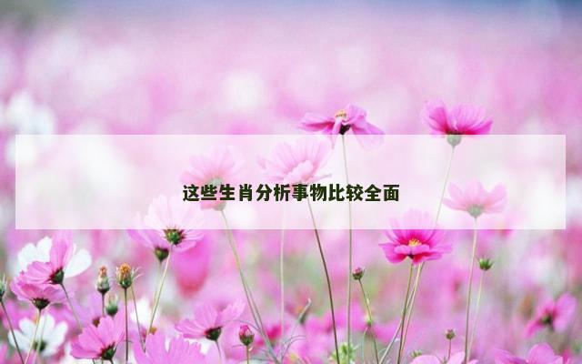 这些生肖分析事物比较全面