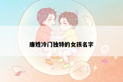 廉姓冷门独特的女孩名字