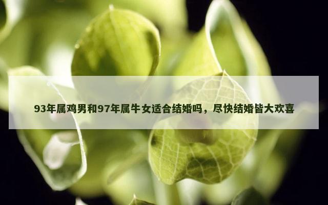 93年属鸡男和97年属牛女适合结婚吗，尽快结婚皆大欢喜