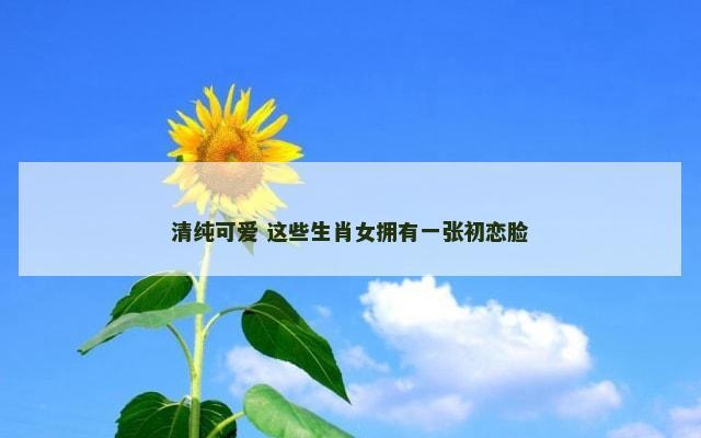 清纯可爱 这些生肖女拥有一张初恋脸