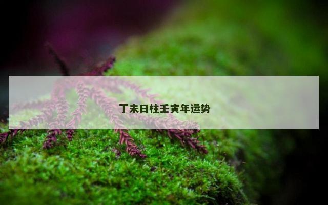 丁未日柱壬寅年运势