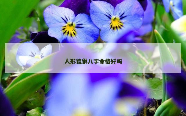 人形貔貅八字命格好吗