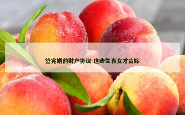签完婚前财产协议 这些生肖女才肯嫁