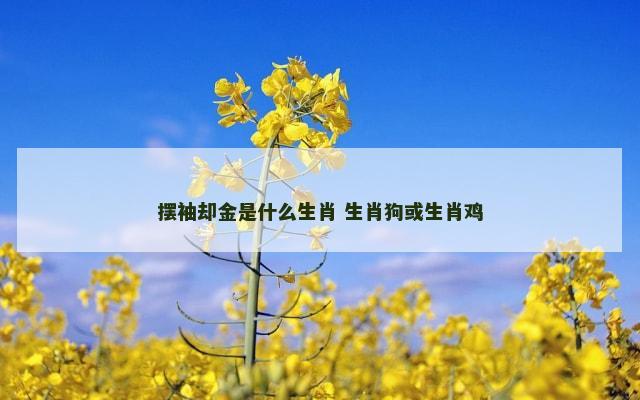 摆袖却金是什么生肖 生肖狗或生肖鸡