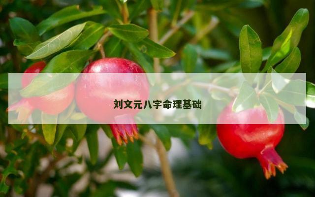 刘文元八字命理基础