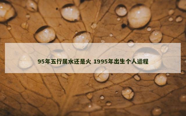 95年五行属水还是火 1995年出生个人运程