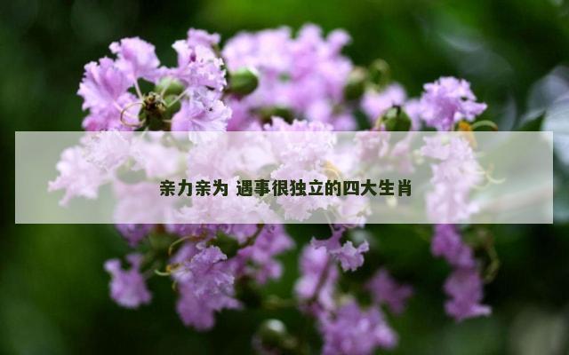 亲力亲为 遇事很独立的四大生肖