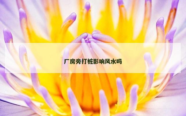 厂房旁打桩影响风水吗
