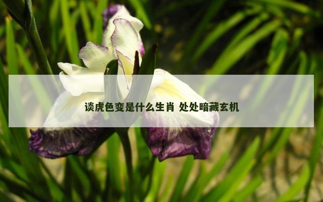 谈虎色变是什么生肖 处处暗藏玄机