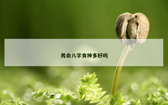 男命八字食神多好吗