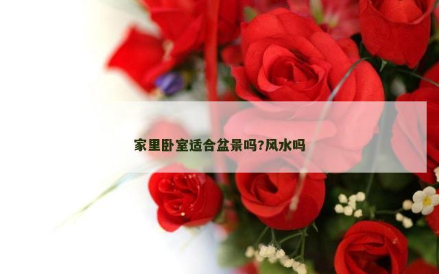 家里卧室适合盆景吗?风水吗
