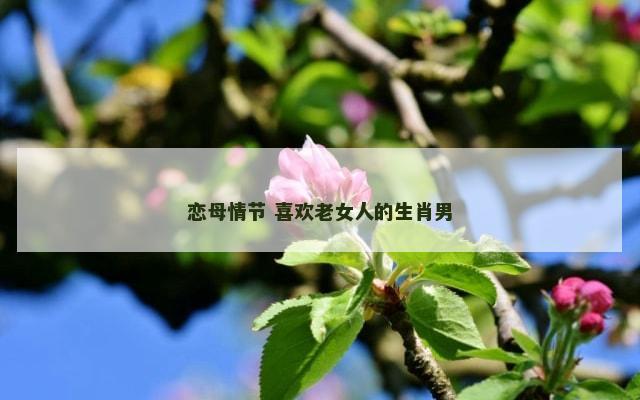 恋母情节 喜欢老女人的生肖男