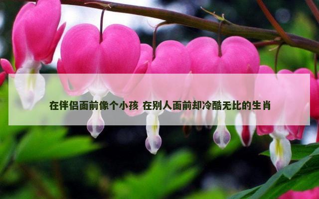 在伴侣面前像个小孩 在别人面前却冷酷无比的生肖