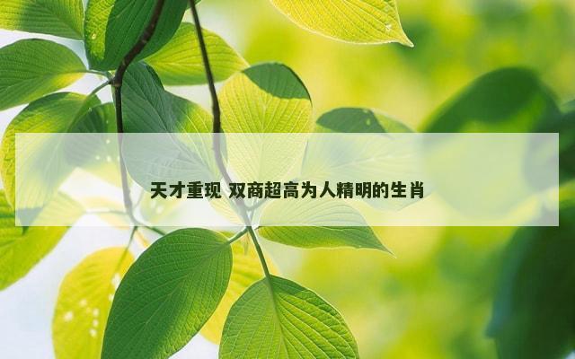 天才重现 双商超高为人精明的生肖