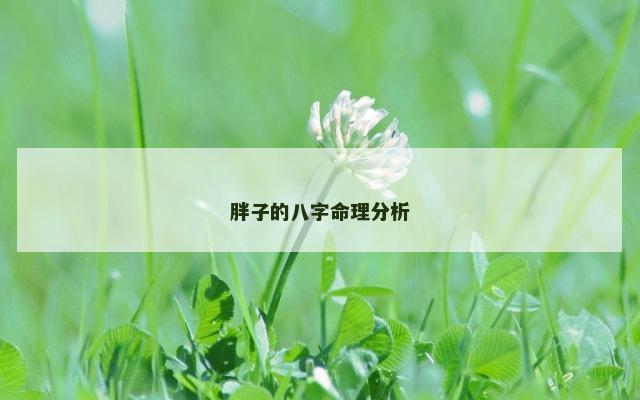 胖子的八字命理分析