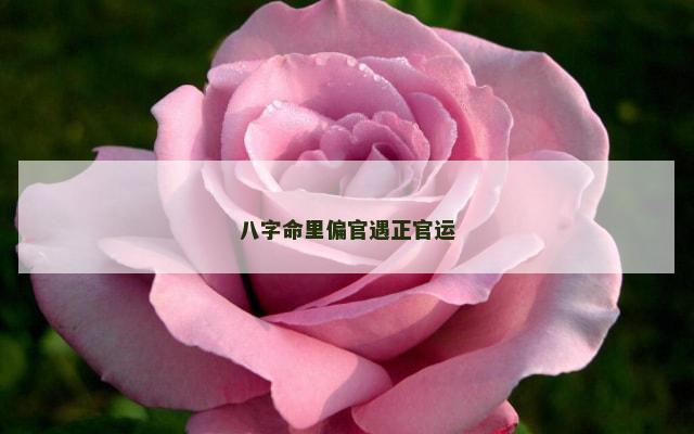 八字命里偏官遇正官运