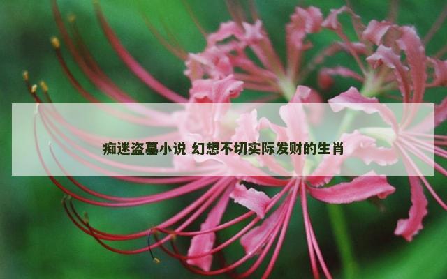痴迷盗墓小说 幻想不切实际发财的生肖