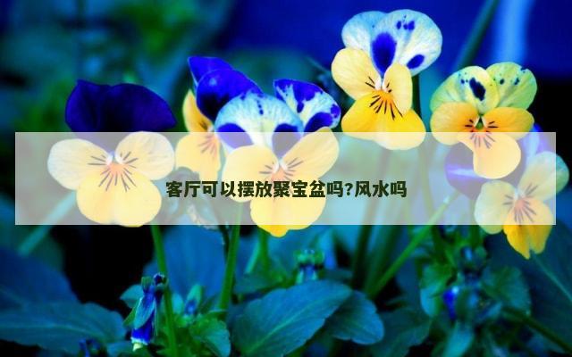 客厅可以摆放聚宝盆吗?风水吗