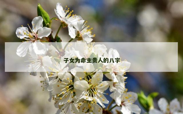 子女为命主贵人的八字