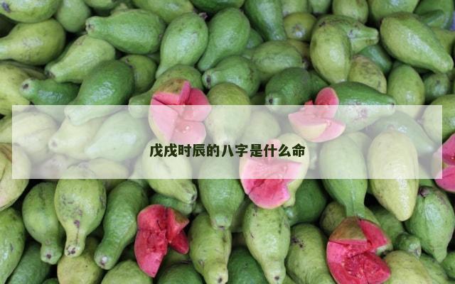 戊戌时辰的八字是什么命