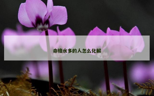 命格水多的人怎么化解