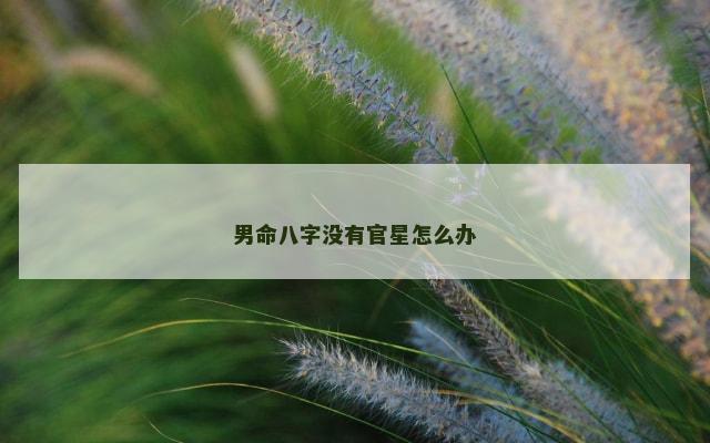 男命八字没有官星怎么办