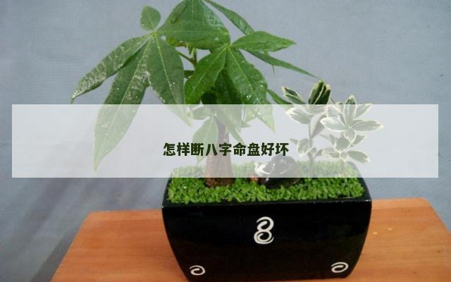 怎样断八字命盘好坏