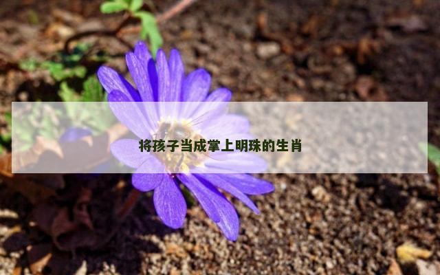 将孩子当成掌上明珠的生肖
