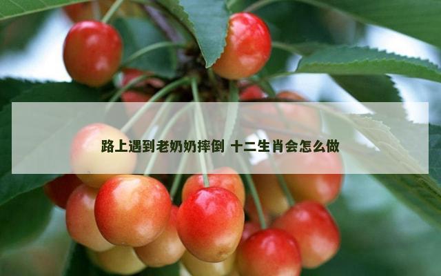 路上遇到老奶奶摔倒 十二生肖会怎么做
