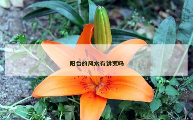阳台的风水有讲究吗
