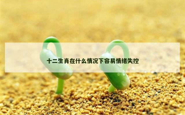 十二生肖在什么情况下容易情绪失控
