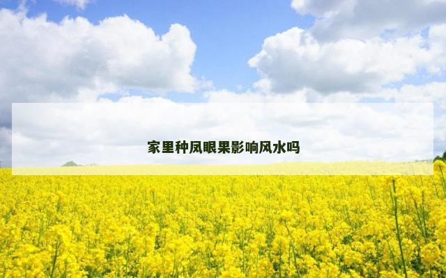 家里种凤眼果影响风水吗