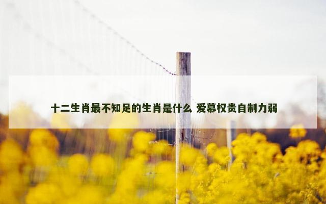 十二生肖最不知足的生肖是什么 爱慕权贵自制力弱