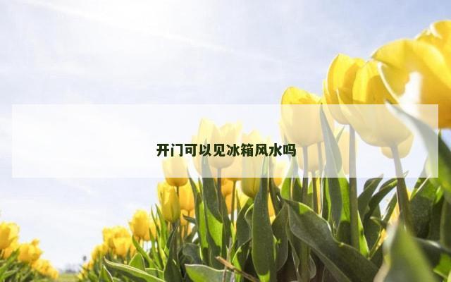 开门可以见冰箱风水吗